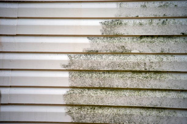 Affordable Siding Repair and Maintenance Services in Dover, OH